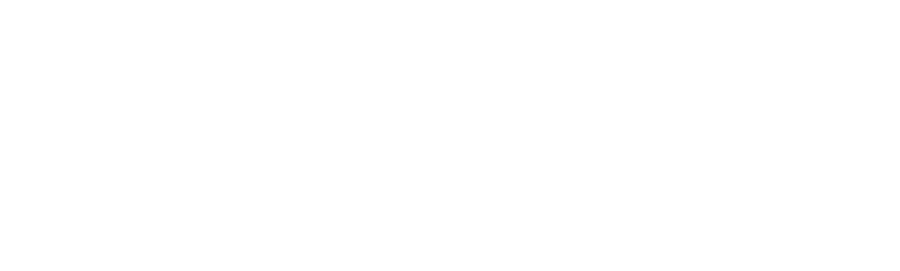 Rezpo logo